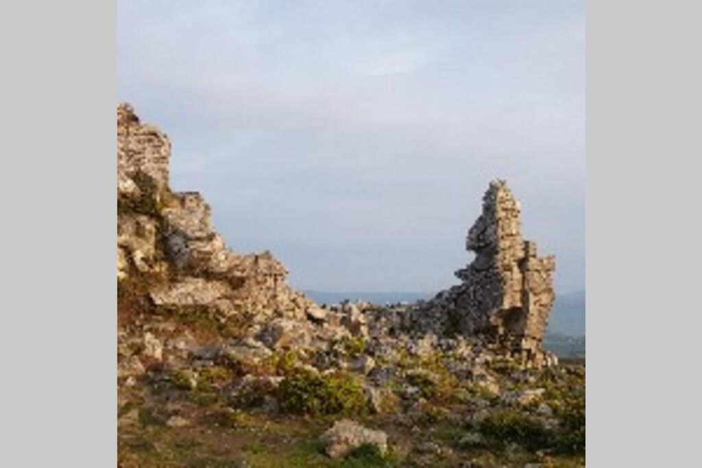 Rowan Cottages With Panoramic Views Of The Stiperstones And Walks On The Doorstep Шрусбъри Екстериор снимка